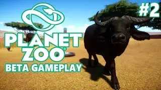 Animal Fights and Previous Scars | Planet Zoo Beta