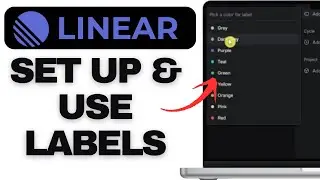 How to Set Up and Use Labels in Linear