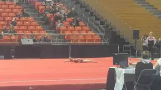 butterdome 2016