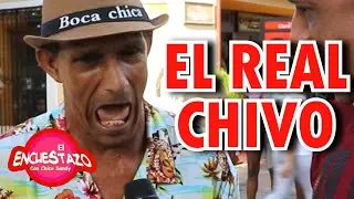 EL ENCUESTAZO / Que animal quisiera la gente ser ?