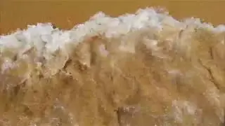 Close Up Video Of Beach Waves on sand ✔ Free Stock Video