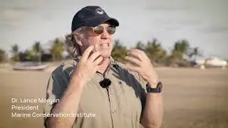 The Vision for Ocean Protection