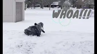 Arctic Cat Kitty Cat First Ride!