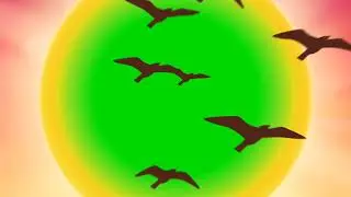 sunset green screen video || free green screen video || free animation