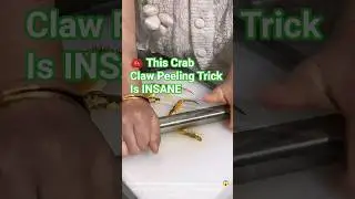 🦀 This Crab Claw Peeling Trick Is INSANE #tips #short