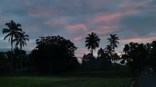 A Day in My Life Indonesia _ Sehari Bersamaku 🌿