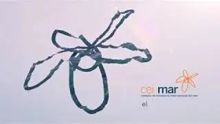 CEIMAR