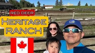 Visiting Heritage Ranch Red Deer