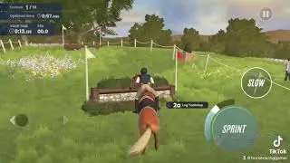 HOW To Get EASY XP In Rival Stars📊 #rivalstars #horseracing #horsegames