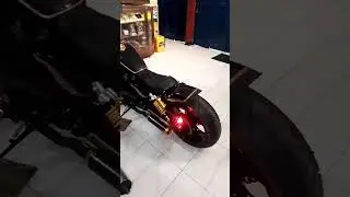 Benelli pe250 custom gold leaf