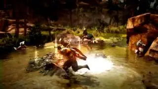 Black Desert Online Ninja Class Combat Gameplay