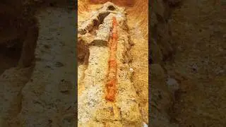 The Secrets of Japan's 'Blank' Period: The Dakōken Sword Discovery