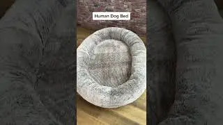 Amazon find: Human Dog Bed #amazing #amazon #amazonfinds
