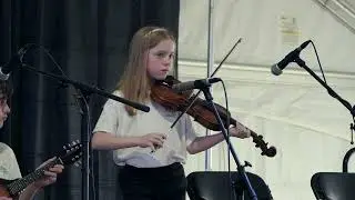Bear On The Square - Main Stage - Pick and Bow - Shady Grove Old-Time.