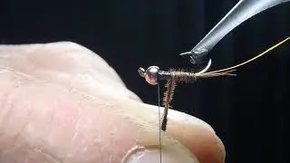 Montage d'une pheasant tail sur hameçon Atsuko spn n°16 et bille 2,5