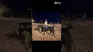 Ninja presiu #hh #horse #hobbyhorse #equestrian #gaming