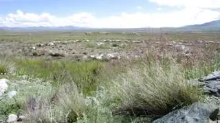 ukok1
