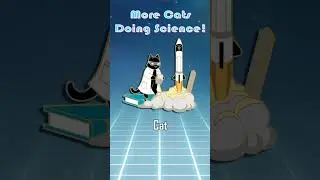 First Science Cat Revealed