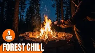 Cozy Fire Pit Ambience 🔥 4 Hours | Fire Pit Beneath Tall Pines | Forest at Dusk