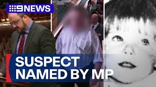 MP reveals name of suspect who confessed to the murder of a child in Parliament | 9 News Australia