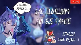 МОИ СТАРАНИЯ НА 65 РАНГЕ| Honkai: Star Rail