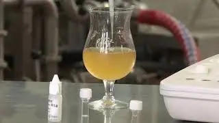 CDR BeerLab   THE INNOVATION IN THE ANALYSES OF BEER