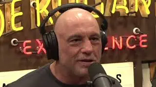 Joe Rogan: Corruption In America Is Completely Out Of Control