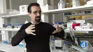 Nuevo horizonte para la lesión medular traumática| Últimas investigaciones del HN Parapléjicos