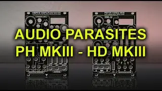 Black Panel Piston Honda & Hertz Donut MKIII