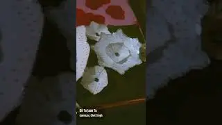 flower metal craft ready with my ideas 💡please like 👍comment and share 🙏friends 😊