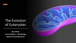 The Evolution of Eukaryotes
