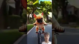#funny #pets #pug #shortfilm #animals #cute #ai #animation