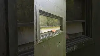 Why Stealth Window Was Made | #hunter  #deerhunting #deer #hunting