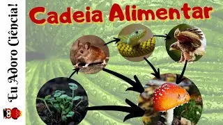 Cadeia Alimentar