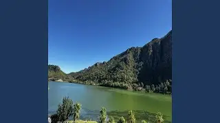 Seveceksin