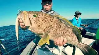 Slow Pitch Jigging For Grouper - DAIWA BG MQ H-ARK