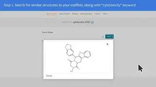 DMTA Cycle Step 5 - How to avoid structural motifs with known safety issues
