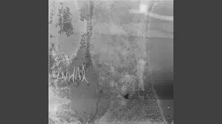 flexanima