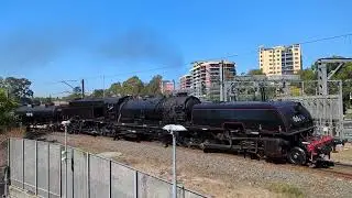 THNSW - Maitland Transfer 1/2 - 15/04/2024