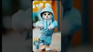 dancing cat ❤️#shorts #cutecat #cat #dancingcats #viral #cutecatsandkittens #dance#trendingshort