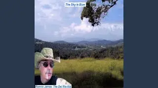 Firefly