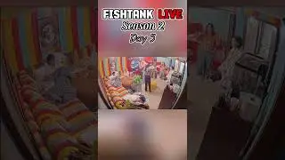 Think it Dream it Do it - the Fish on iDubbz #fishtanklive