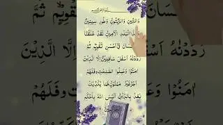 Surah Al-Teen🤍 #quran #uaequran #recitation #shorts#viralshort