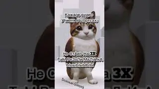 Я рил хз резали или нет&hellip;