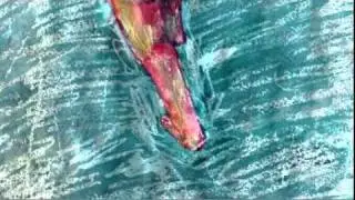 足／栗コーダーカルテット