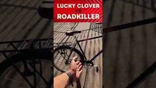 Shulz Lucky Clover или Shulz Roadkiller? | Гравийный сингл против городского велосипеда. Кто круче?