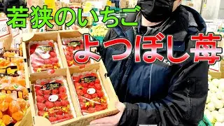 【福井県若狭のいちご】本日のおすすめ！甘くて美味しい苺がただ今大人気です【2026/1/31虹彩】