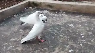 8820178205