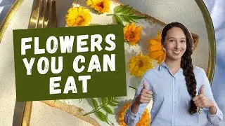 FLOWERS YOU CAN EAT WITH POTENTIAL HEALTH & BENEFITS