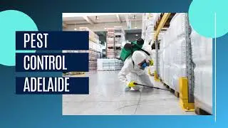 Expert Pest Control Service in Adelaide | Fast Pest Control | Get Rid of All Types of Pests